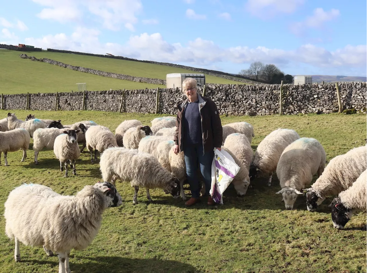 Farmers Plan 'Day of Unity' Against Family Farm Tax