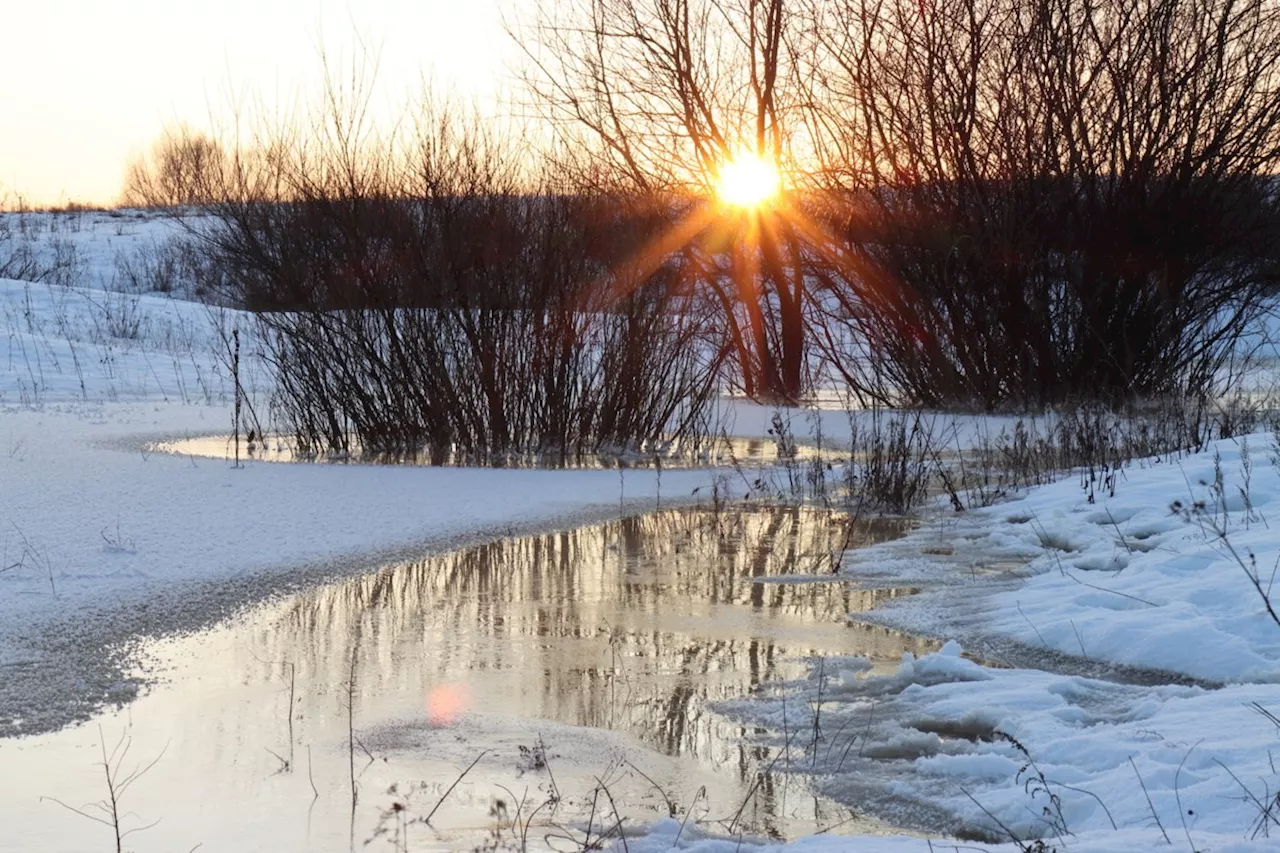 Water Safety Statement Issued for Sault Ste. Marie Region