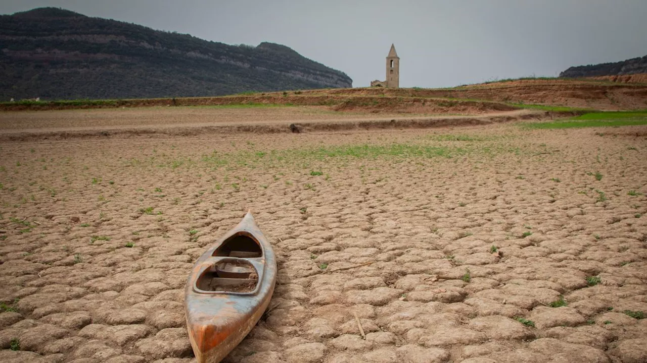 Studie zu Extremwetter: Klimakrise sorgte 2024 für sechs Wochen Extra-Hitze