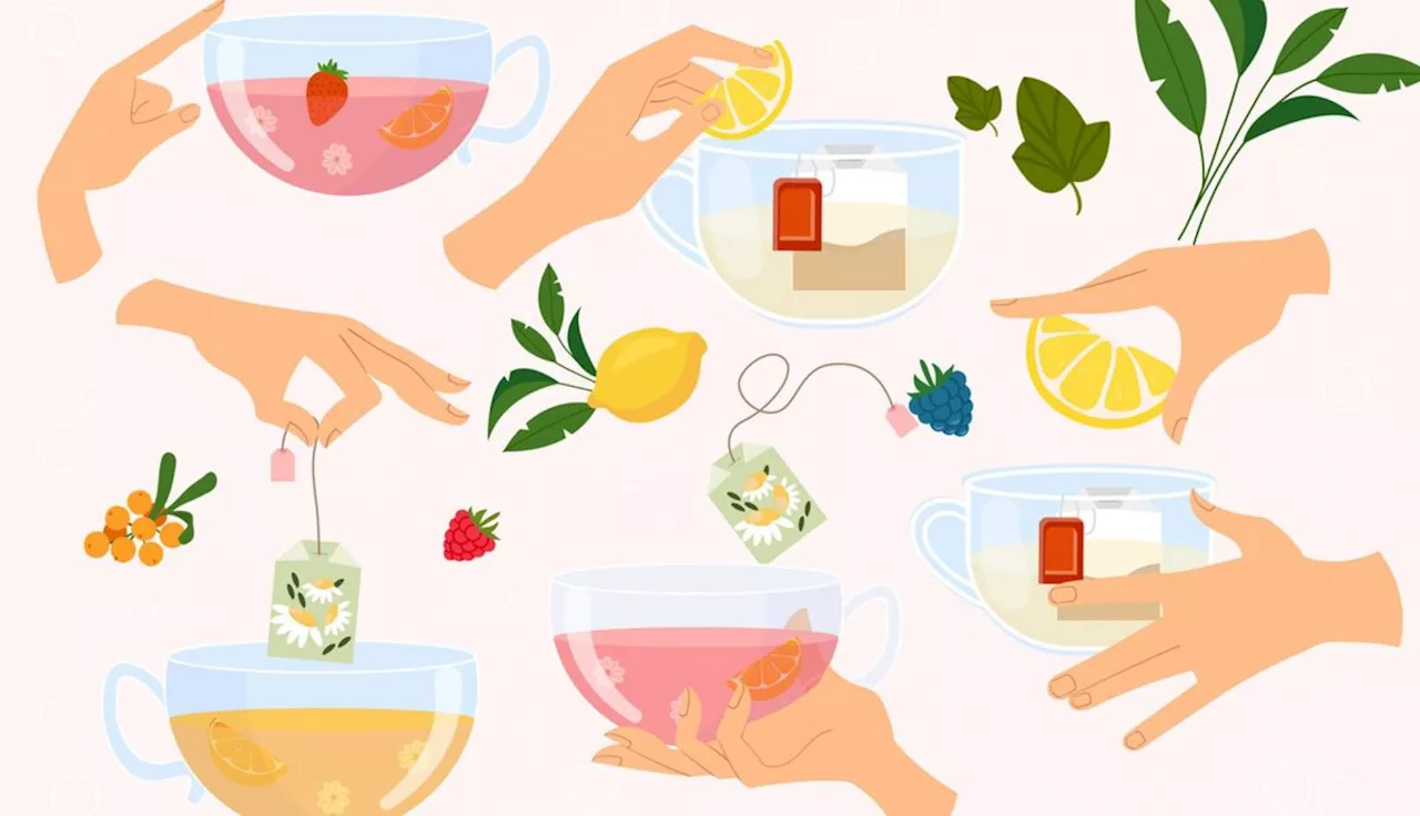 10 Infusiones que Ayudan a Adelgazar: Beneficios CIENTIFICAMENTE Probados