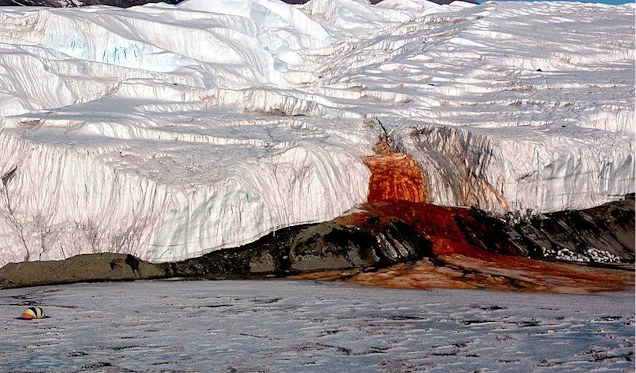 QuickCheck: Is there a ‘blood waterfall’ in Antarctica?