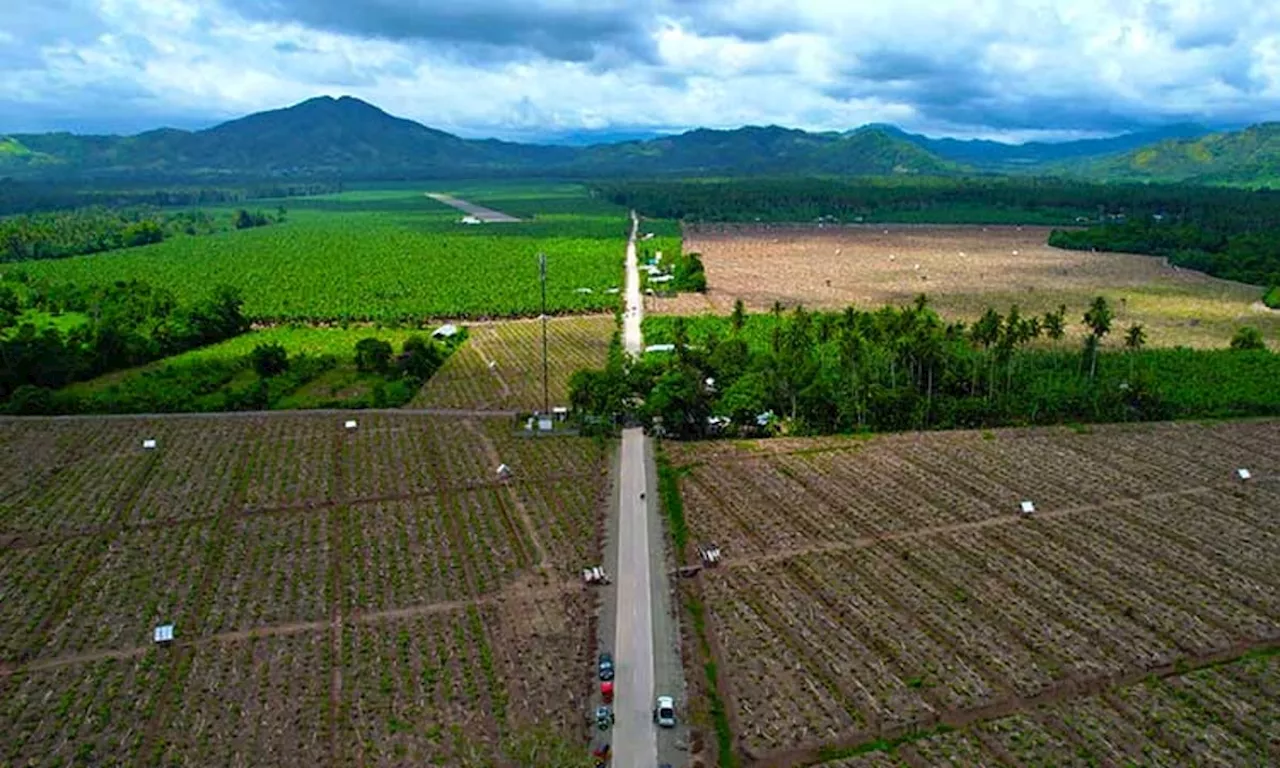 P200-M road to boost Davao Oriental’s rural access