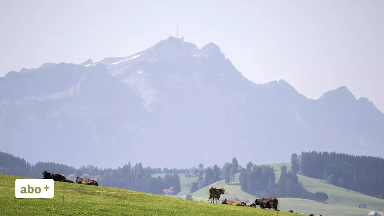 «Es gibt Daten zu Klärschlammlieferungen»: Ausserrhoder Regierung beantwortet Fragen zum PFAS-Problem