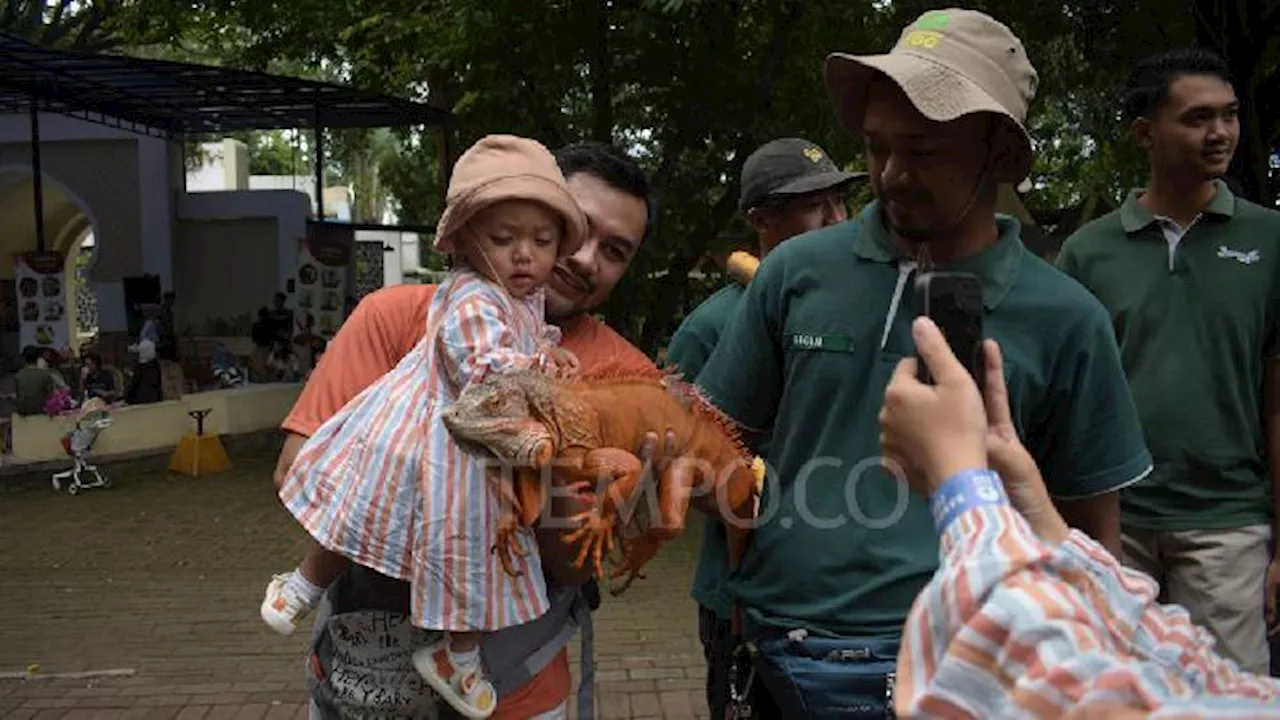 Puncak Musim Liburan di Bandung Zoo Diperkirakan Ahad, Pengunjung Diminta Hindari Parkir Liar