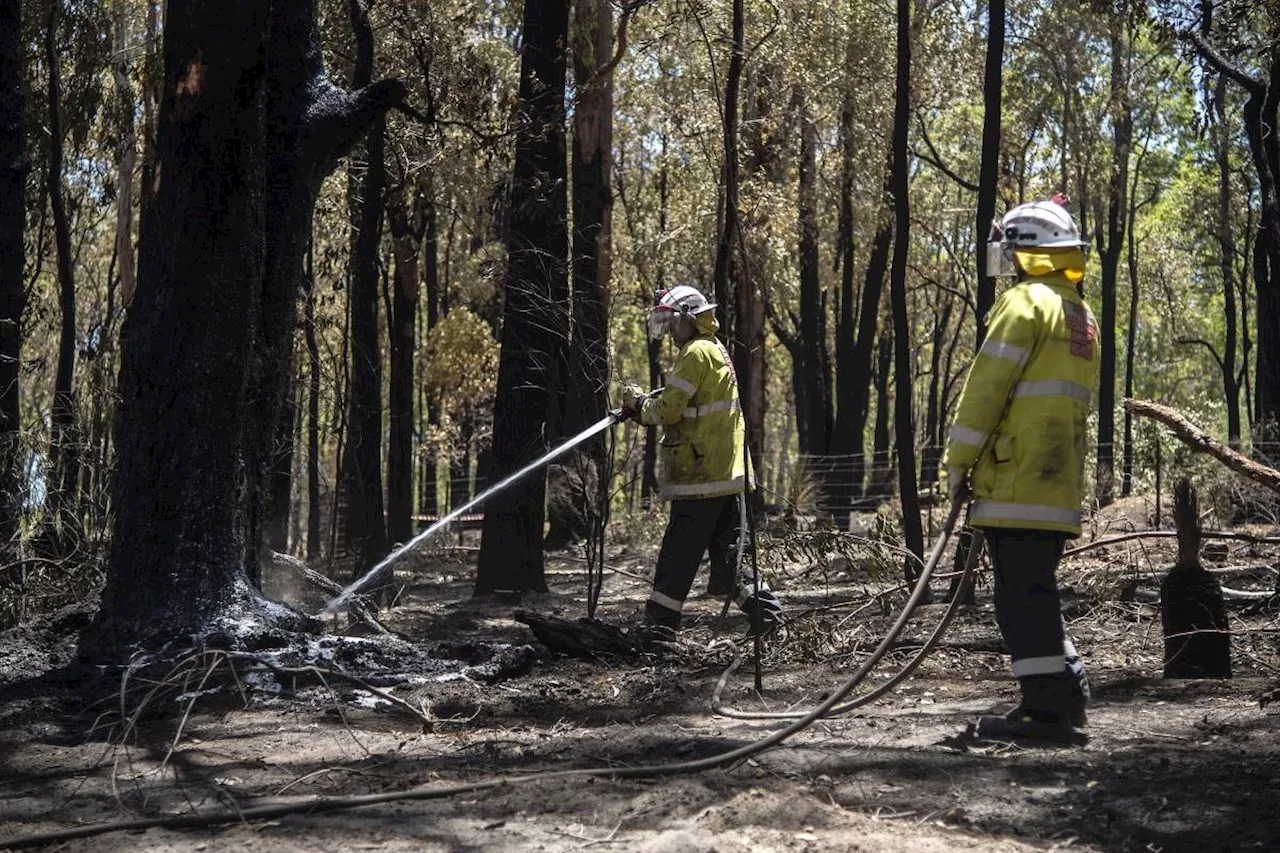 Australian bushfire burns area the size of Singapore