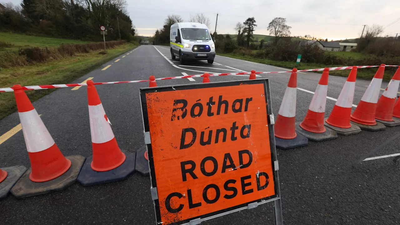 Fatal Hit-and-Run in Dublin Leaves Two Dead