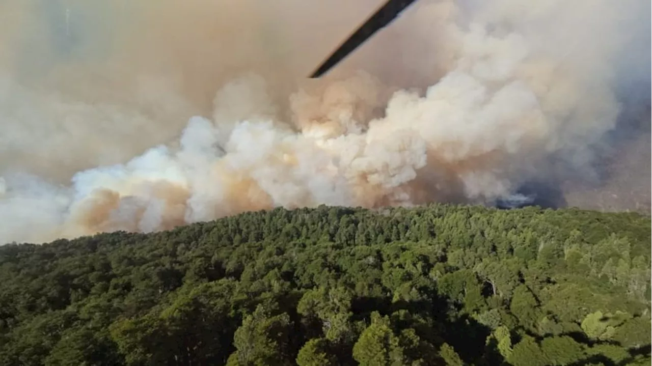 Dos Incendios Activos en la Reserva Estricta del Parque Nahuel Huapi