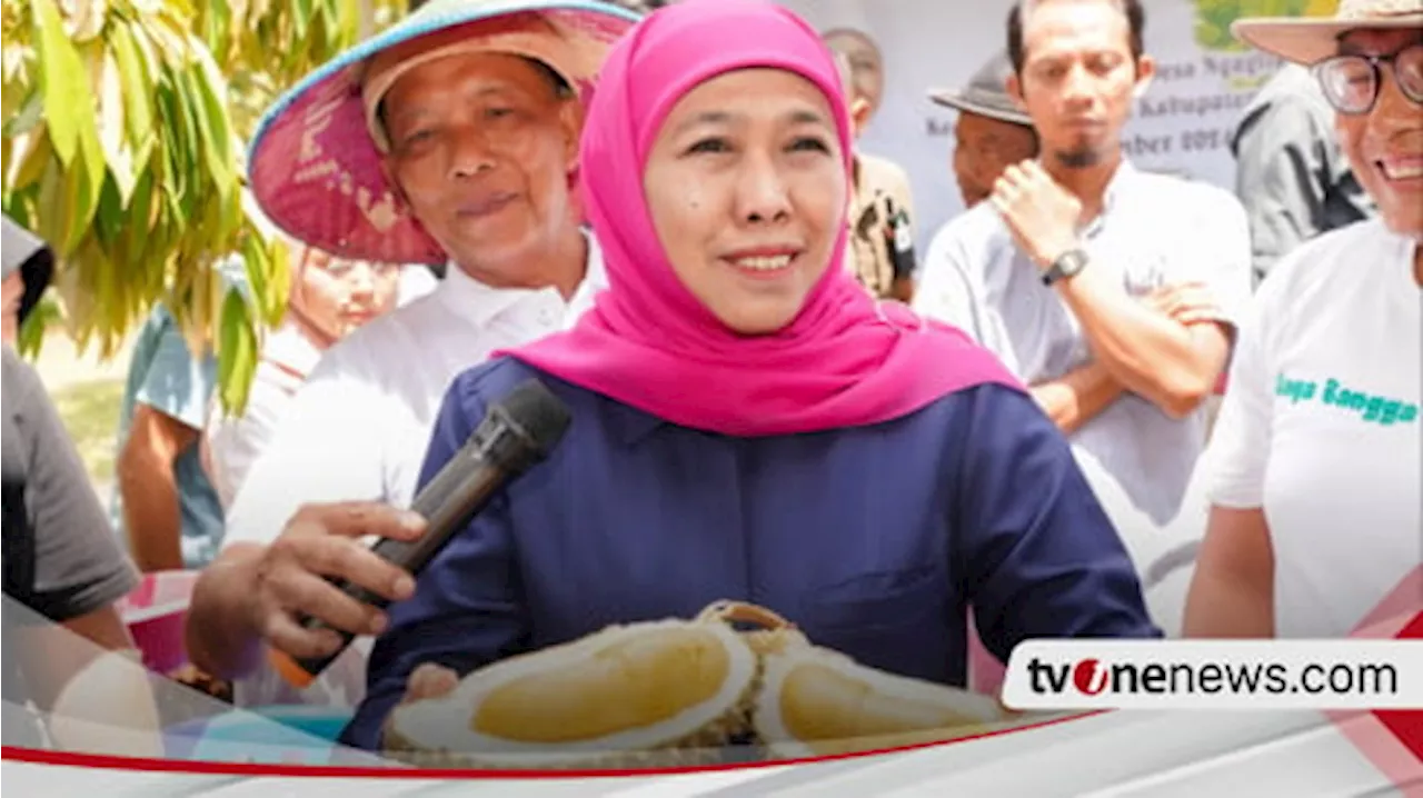 Khofifah Gencarkan Penanaman Durian Premium di Jatim