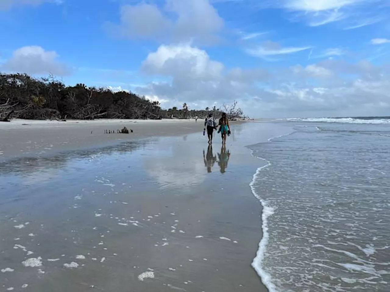 First Day Hike at Little Talbot Island State Park offers a scenic start to 2025