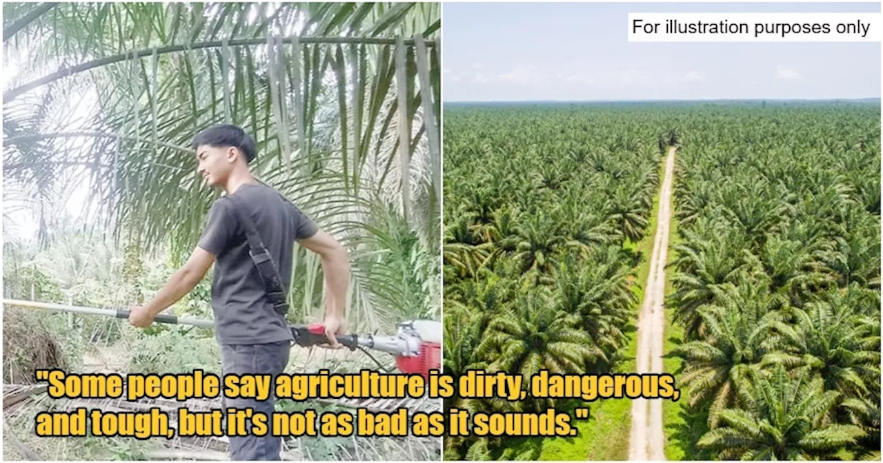 20yo M'sian SPM Holder Earns Up to RM7K/Mth by Working at Palm Oil Plantation