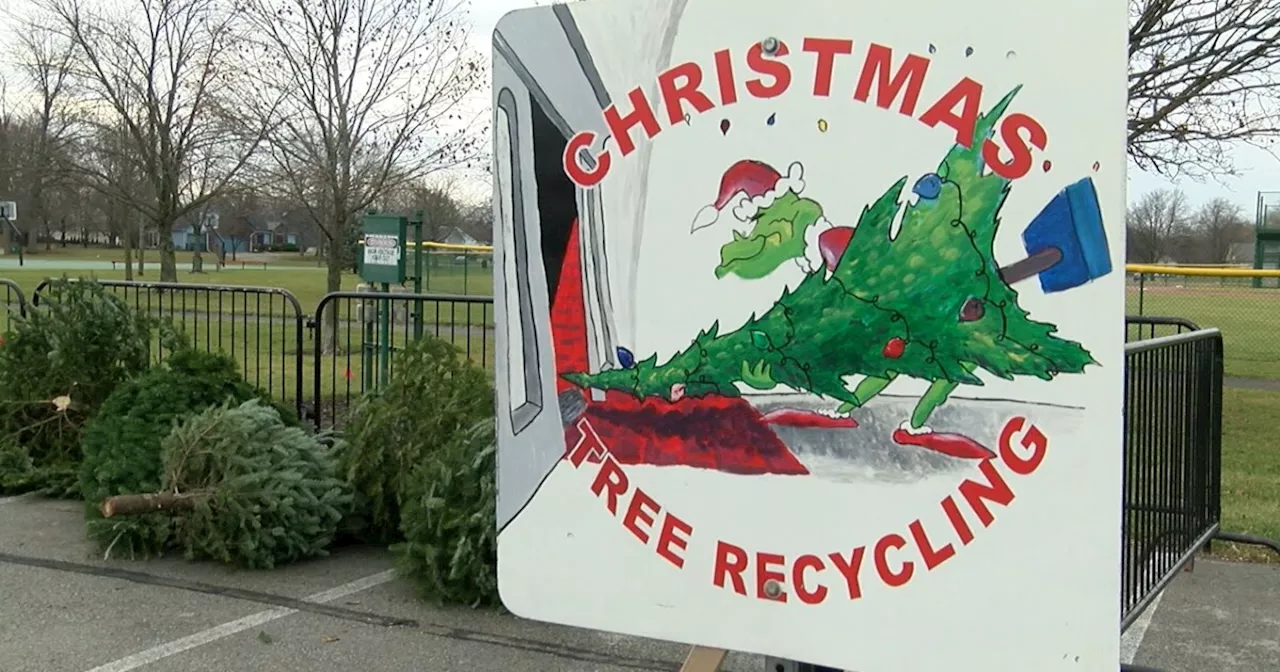 Do you have a real Christmas tree? Cities want you to consider recycling them