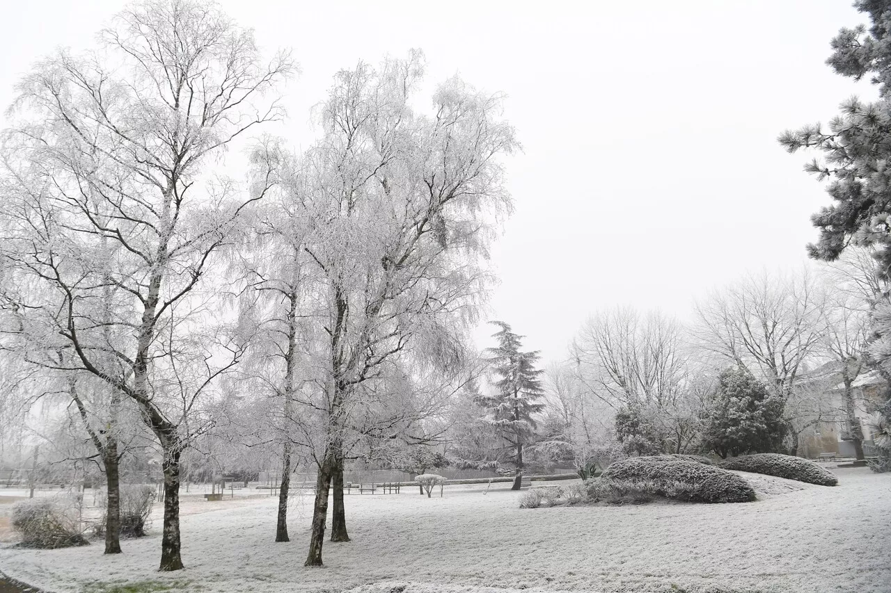 De la 'neige industrielle' est tombée en France ce samedi : c'est quoi ce phénomène météo ?