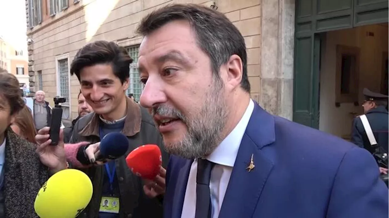 Salvini: 'Multato ubriaco a piedi? Beh, al massimo faceva male al palo...'