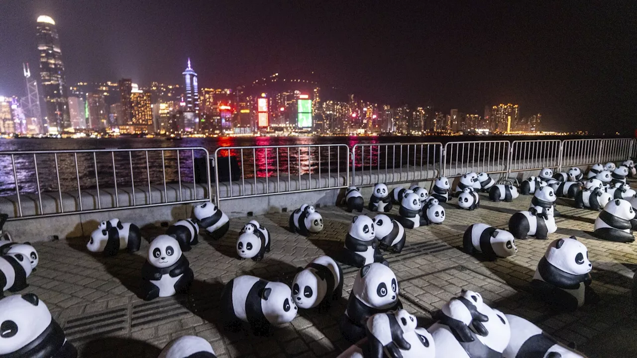 Panda sculptures are displayed at the waterfront of the Victoria Harbour during the panda-themed drone show in Hong Kong