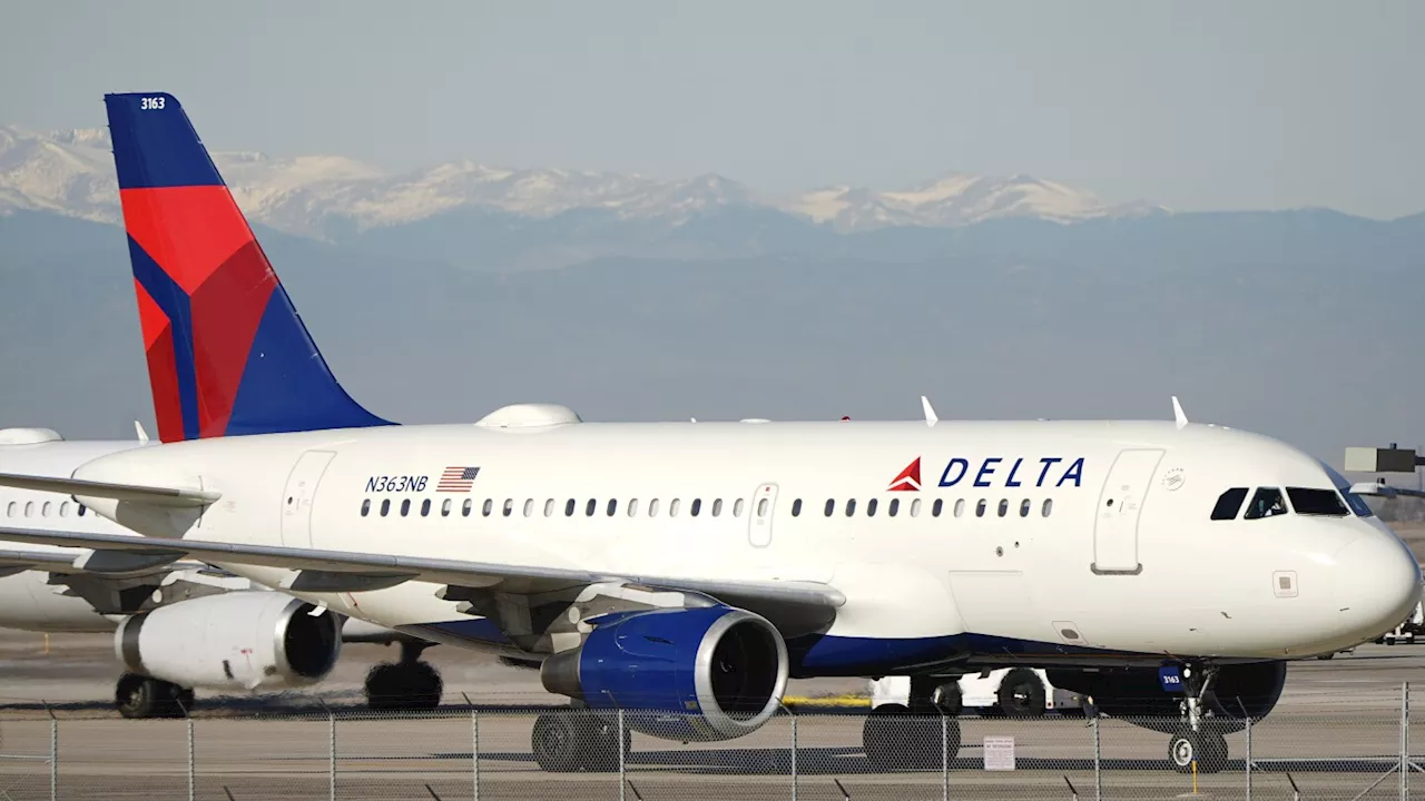 Unticketed passenger attempts to stow away on Delta flight