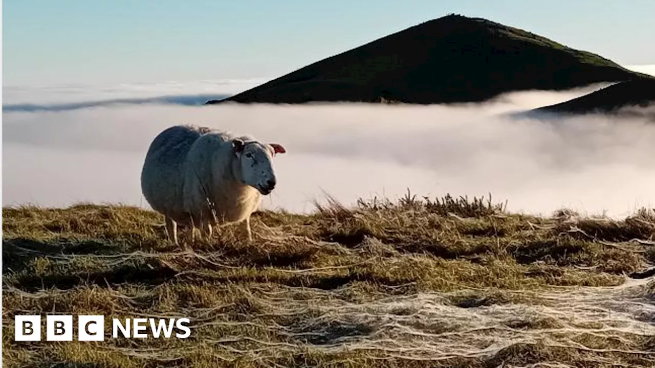 Stunning Cloud Inversions Capture Breathtaking Views