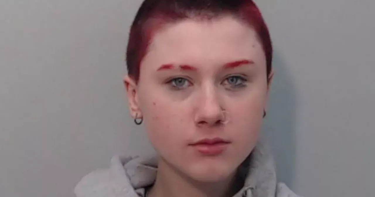 Police 'increasingly concerned' for missing teenager Tiarna Magill last seen on Boxing Day