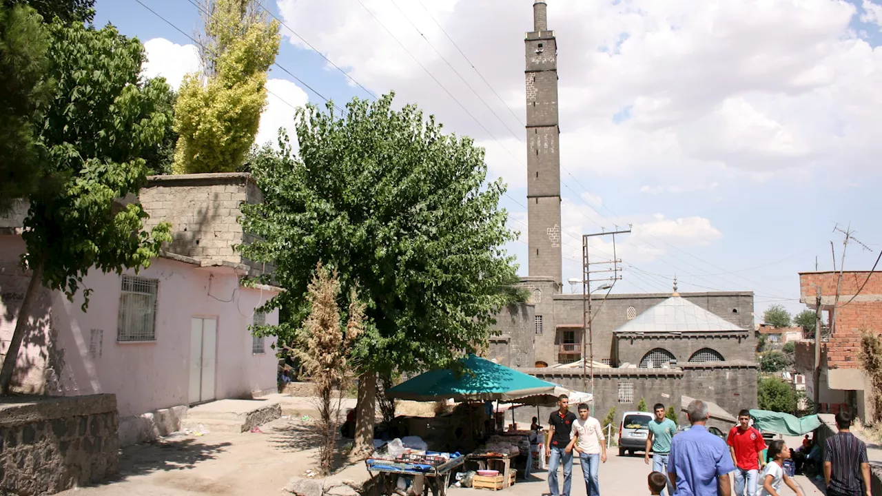 Trois Condamnés à Vie pour le Meurtre de Narin Guran en Turquie