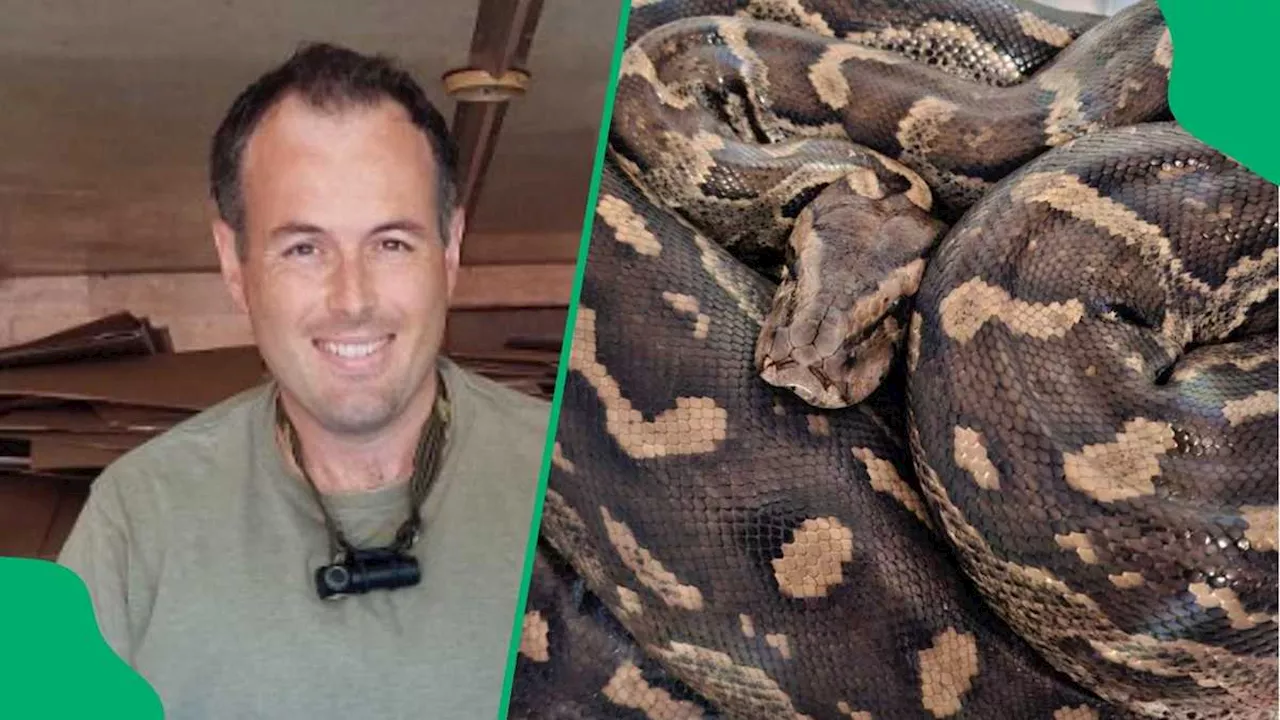 KZN Snake Rescuer Saves Python Stuck in Fence