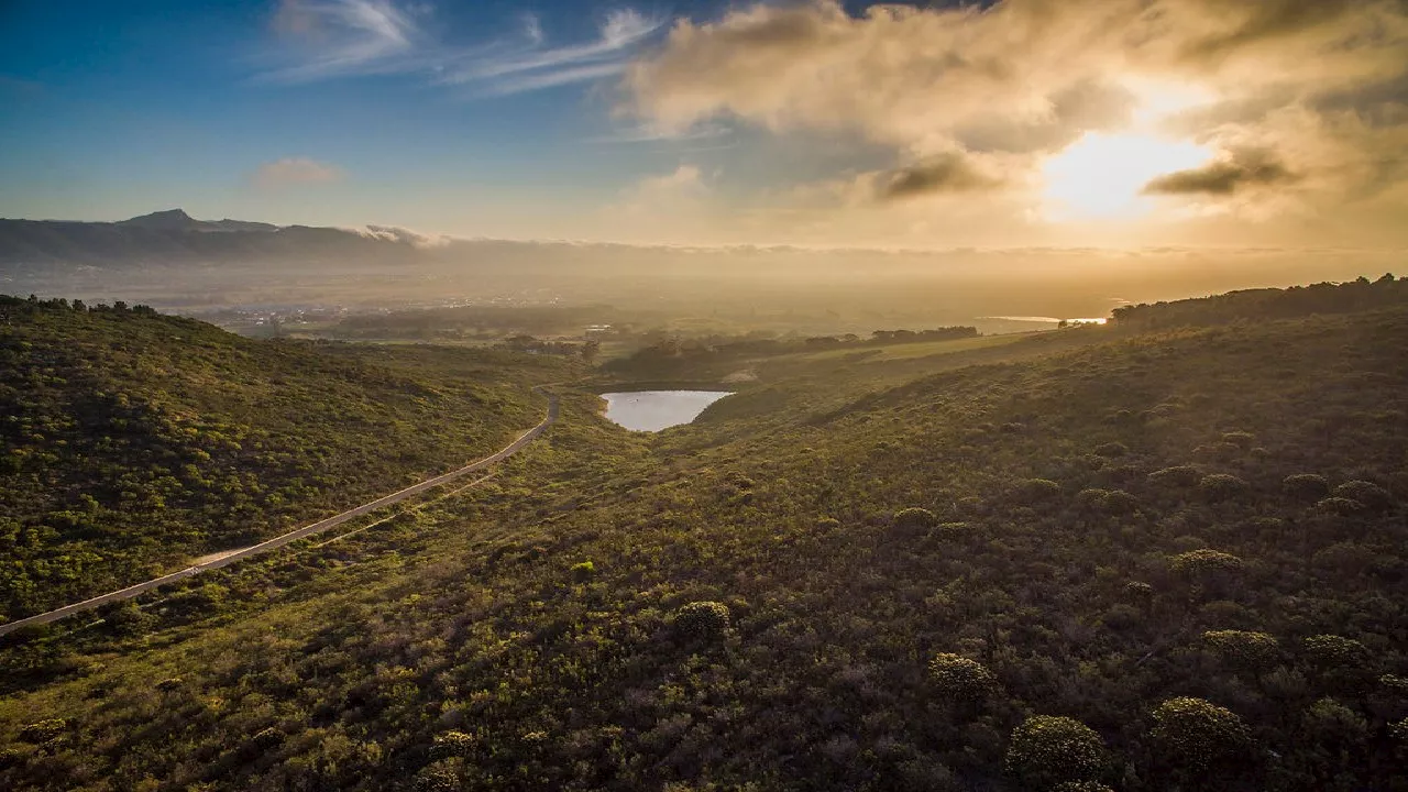 Stellenbosch: A Haven of Wine, Culture and Education