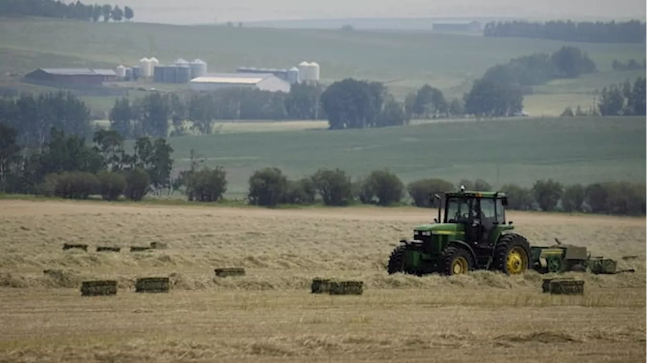 Alberta Farmers Face Relief After Challenging 2024 Growing Season