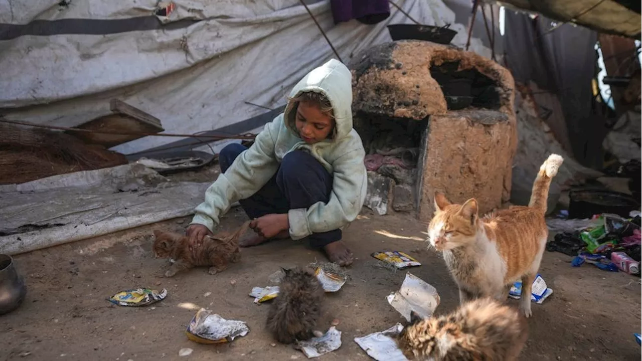 Israeli Troops Storm Northern Gaza Hospital, Forcing Evacuation in Winter Weather