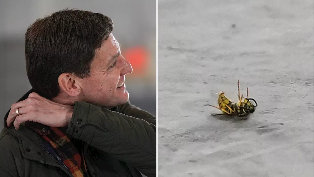 B.C. Premier Eby Stung by Wasp During Campaign