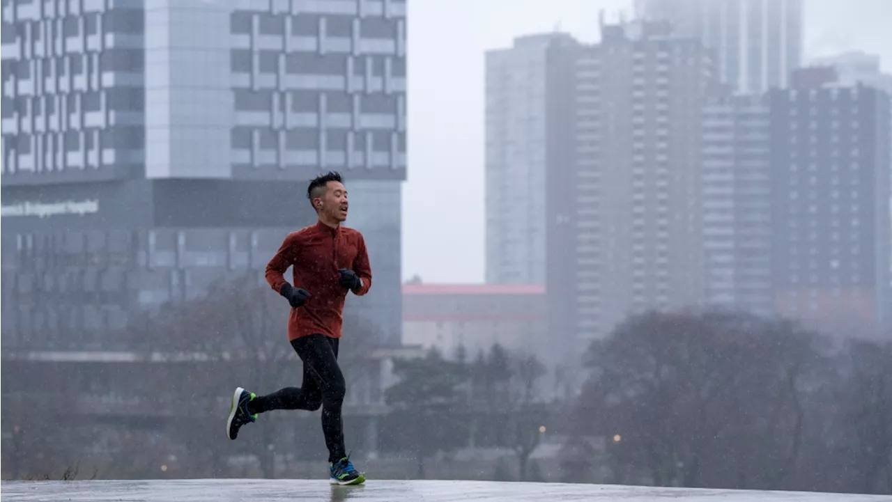 Toronto Braces for Heavy Rainfall, Fog, and Unseasonably Warm Temperatures