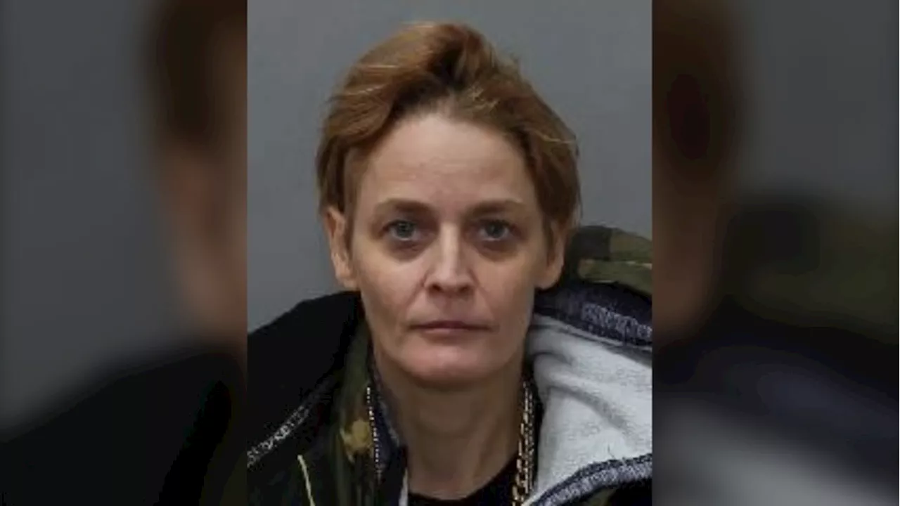 Woman who allegedly broke into Toronto apartment, stabbed victim 'multiple times' wanted: police