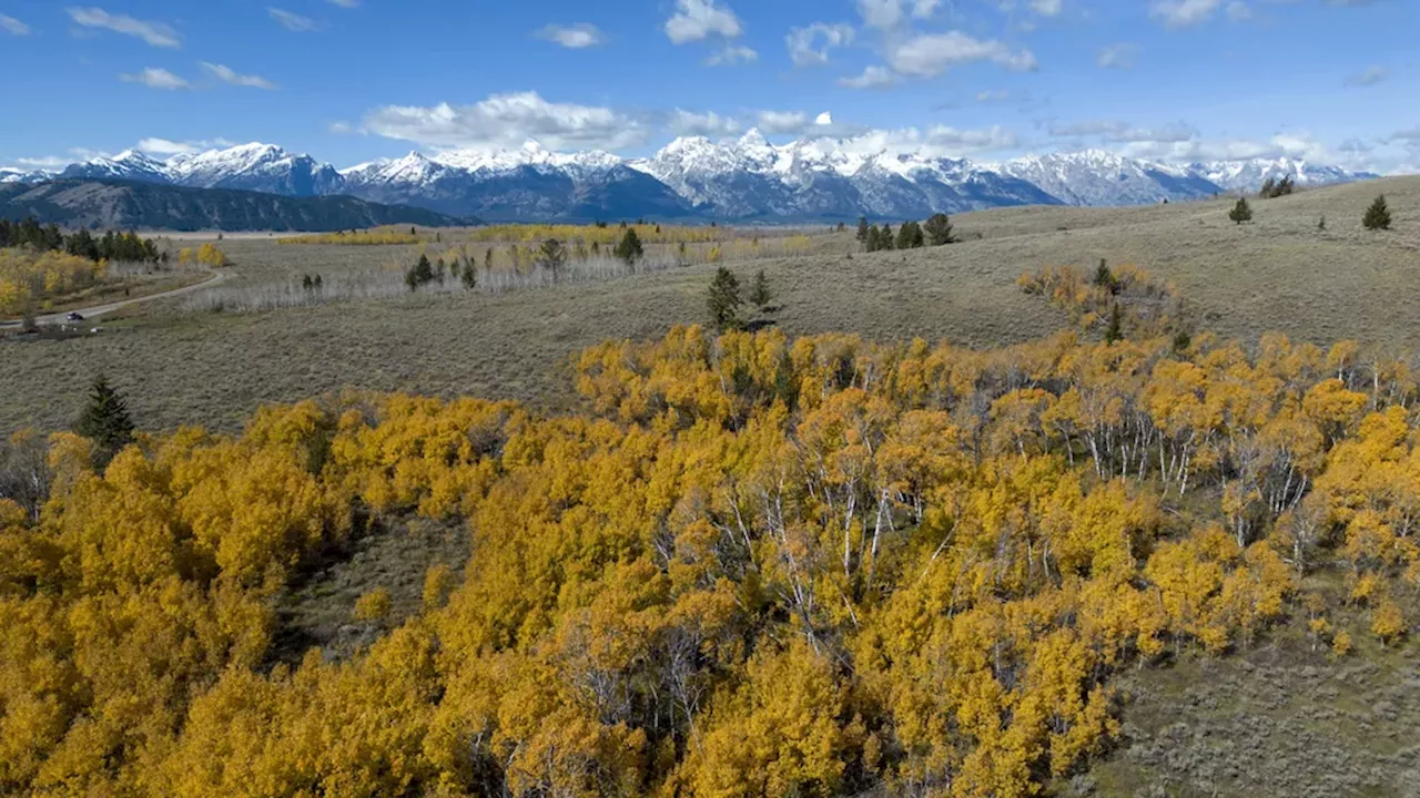 Wyoming Sells Land to U.S. for $100 Million to Expand Grand Teton National Park