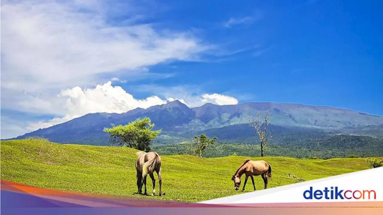 Taman Nasional Gunung Tambora Ditutup Sementara, Dilarang Mendaki!