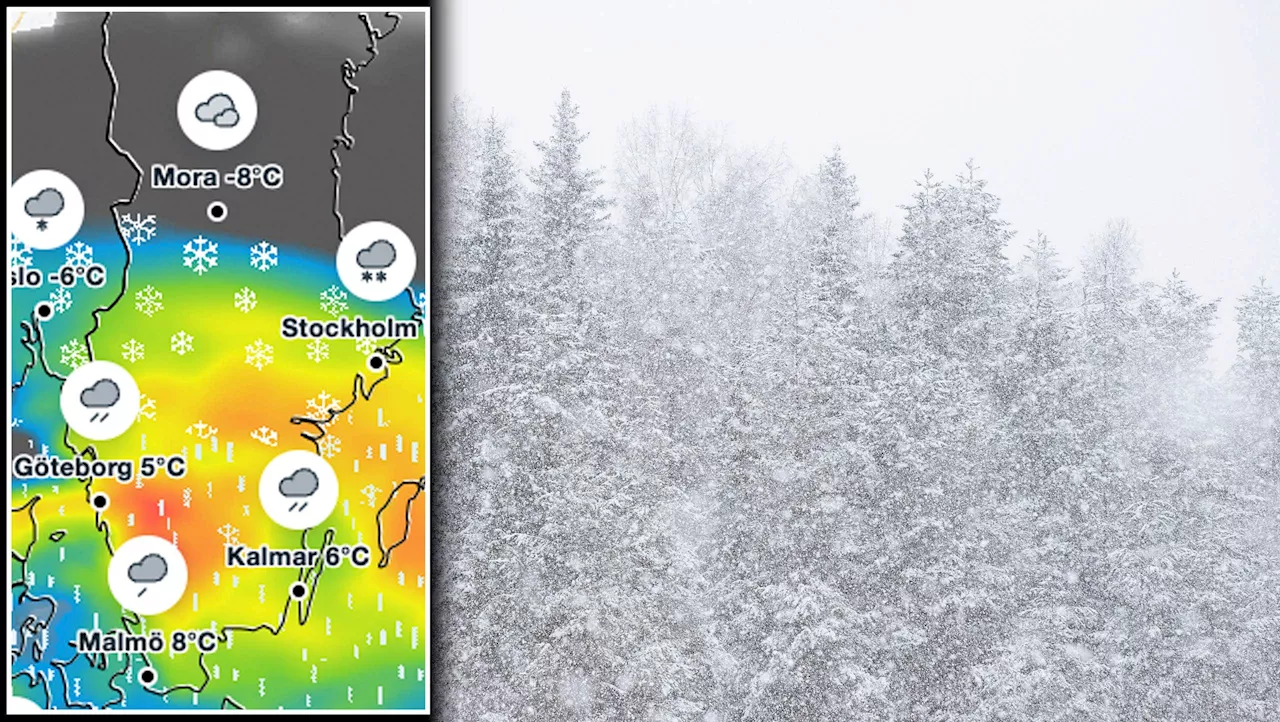 Det nya året inleds med en engelsk snösmocka