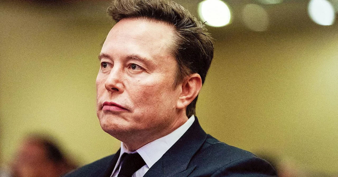 Elon Musk defende AfD e gera demissão em jornal alemão