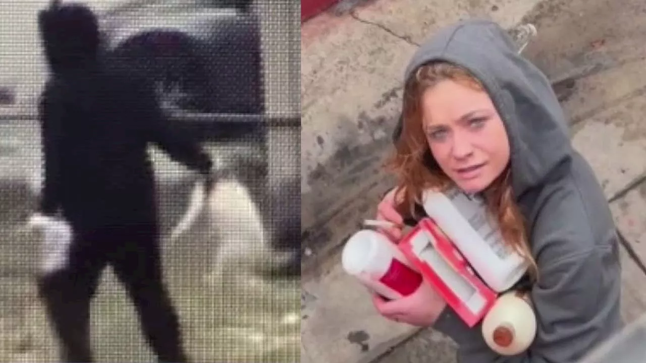 Woman Faces Criminal Charges After Graphic Video Surfaces of Dog Throwing Incident