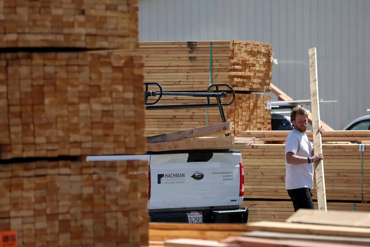 Hollywood Satire Highlights Canadian Lumber Battle with US