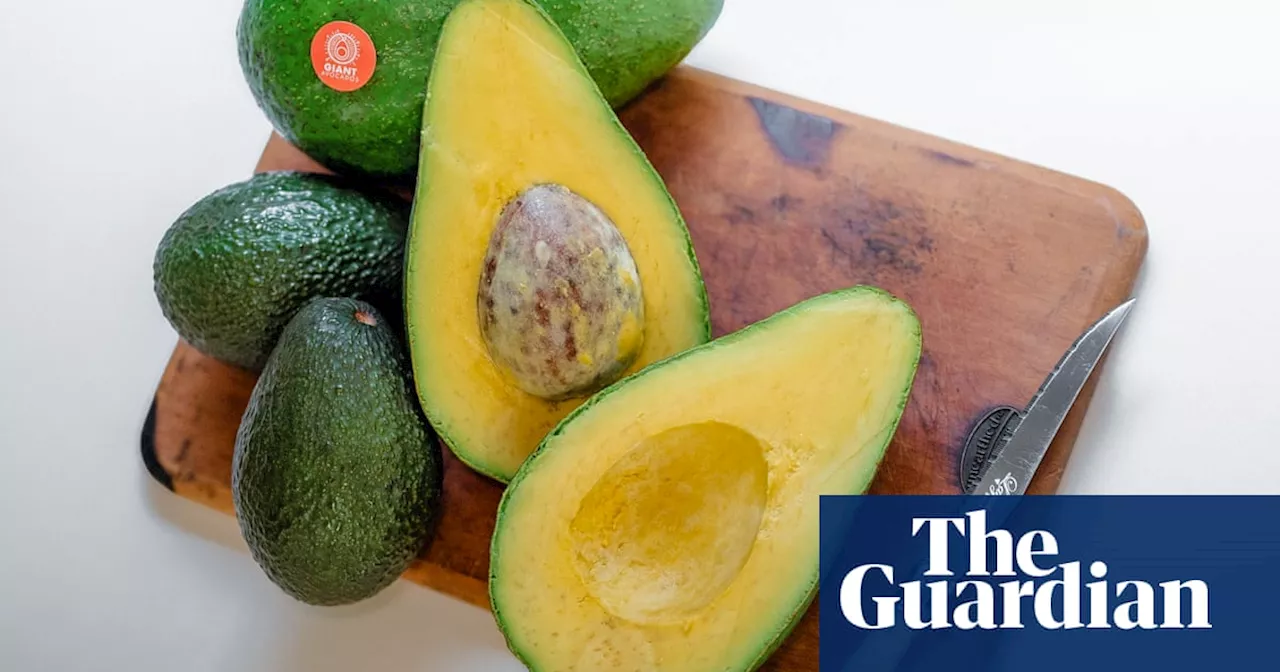 Jala Avocados: A Serendipitous Discovery in Queensland