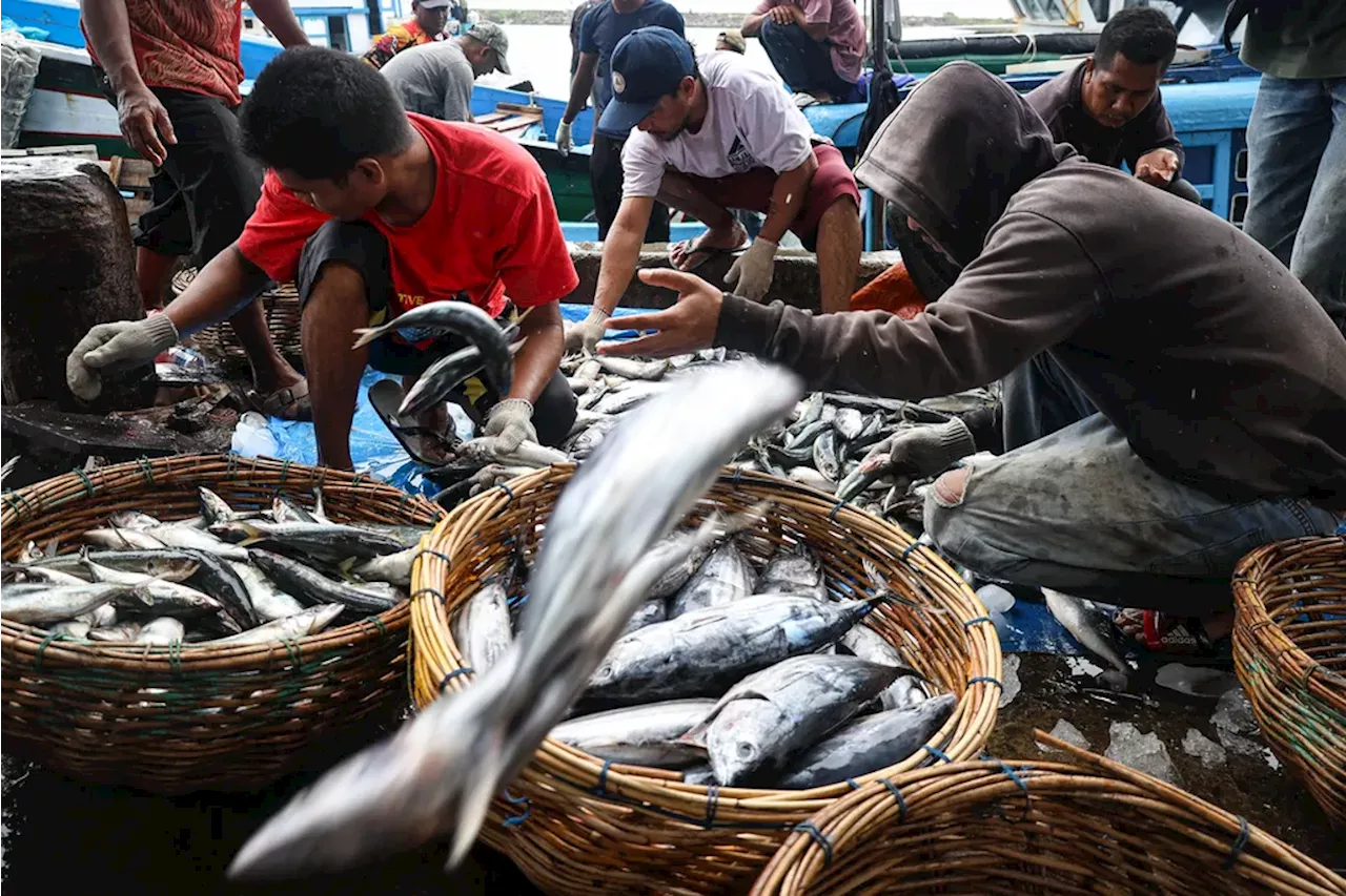 Harga Ikan Fluktuatif di TPI Lampulo Banda Aceh