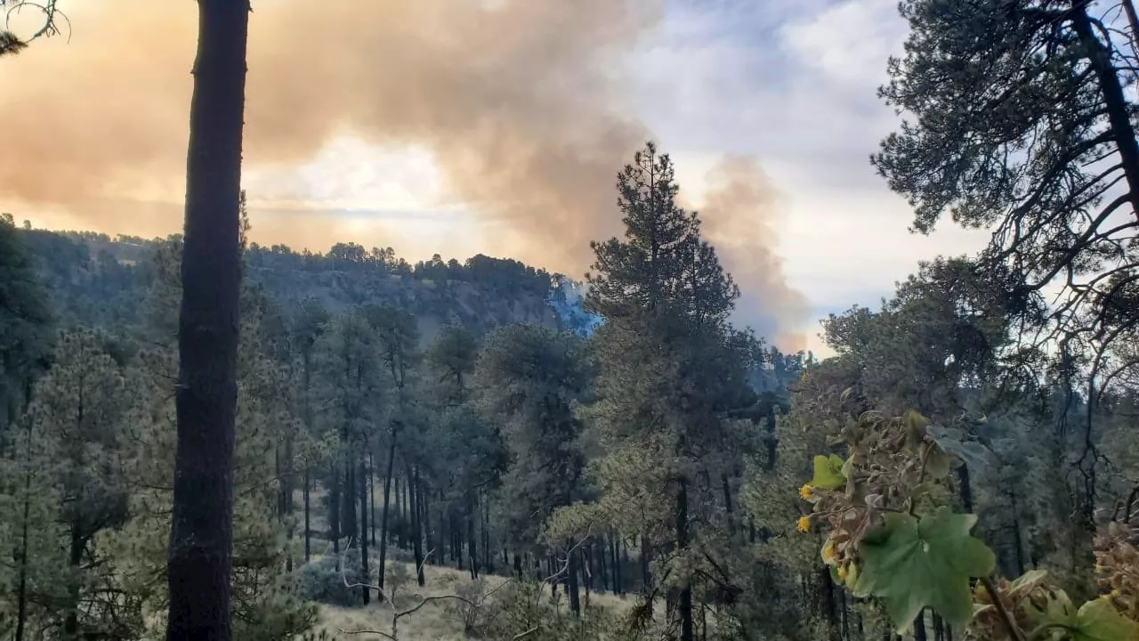 Incendio forestal afecta al Parque Nacional Iztaccíhuatl