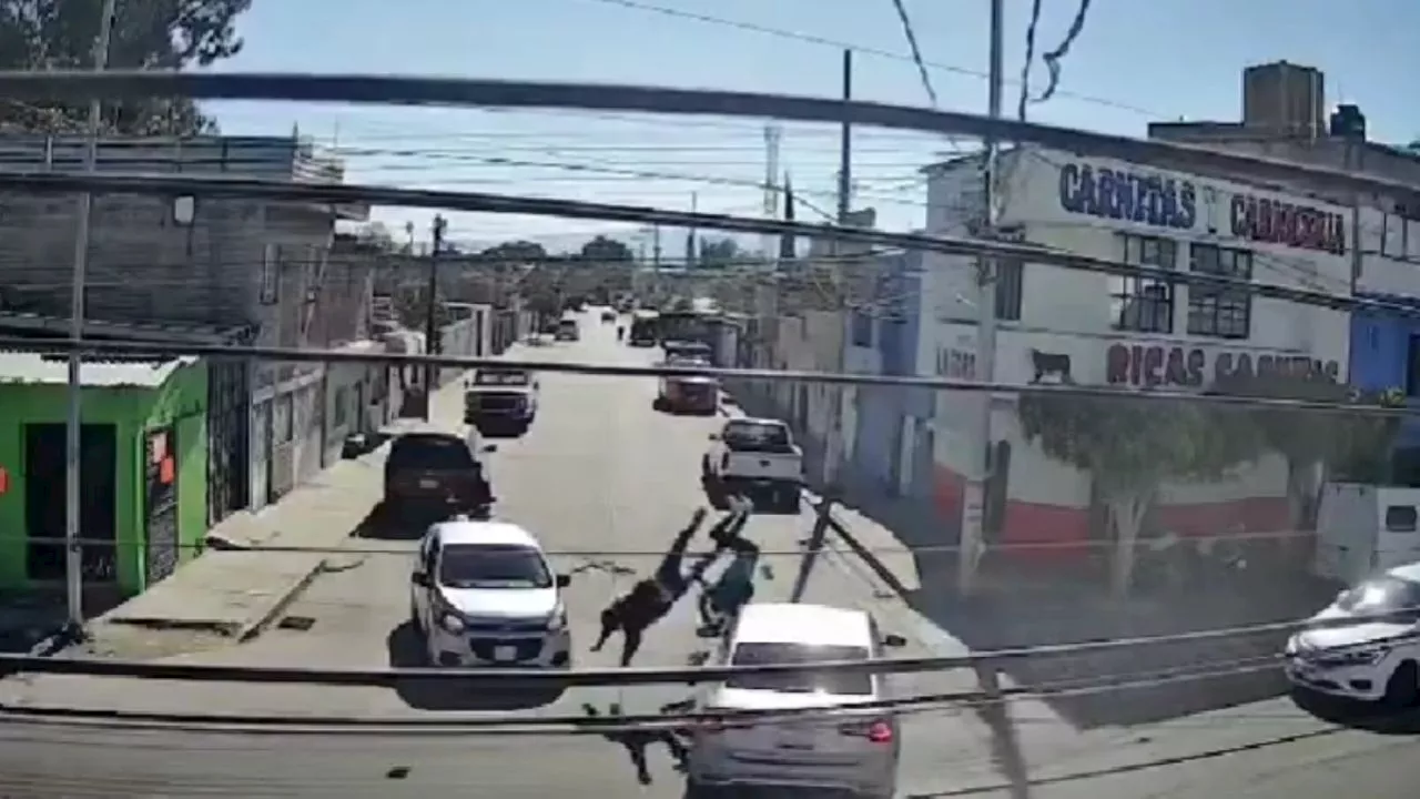 Video Conmociona a Guanajuato: Motociclista Sale por los Aires Tras Choque con Auto