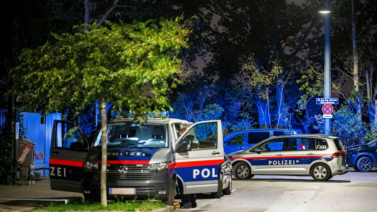 Mann bedroht Ex-Frau und deren Familie in Wien