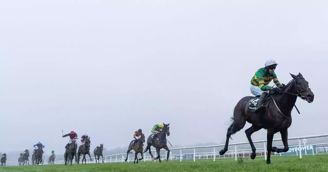 Galopin Des Champs Favored to Retain Savills Chase Title at Leopardstown