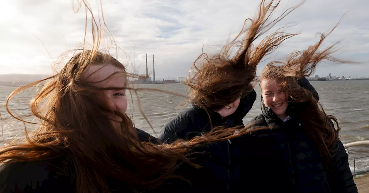 Alan Betson's Photographs of the Year: 'Light and background, get that right and you are only looking for the moment'