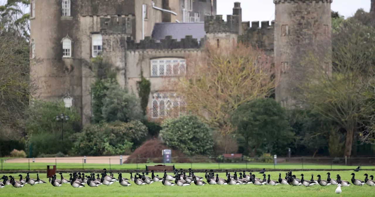 The Mysterious Life of the Last Lord of Malahide Castle