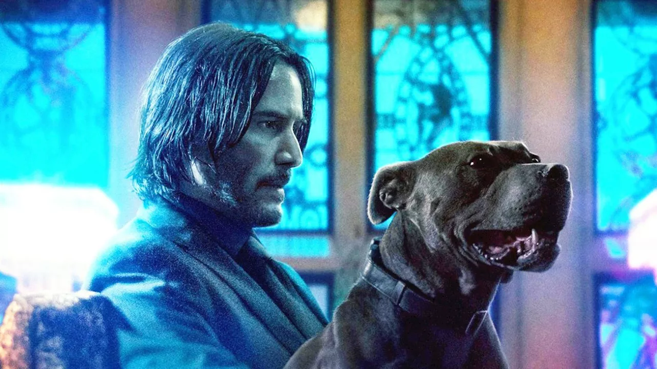 Keanu Reeves Gesundheit Beeinträchtigt Zukunftspläne von John Wick 5