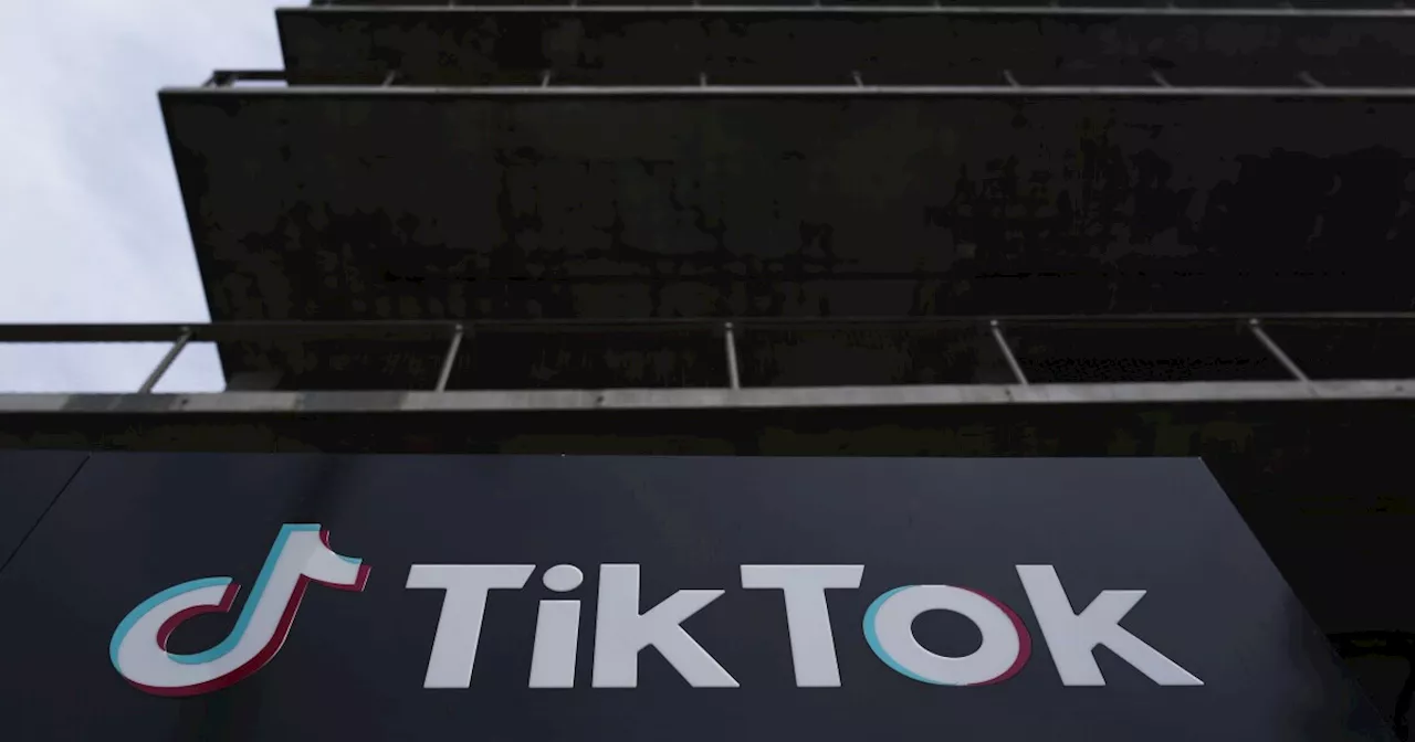 Trump Asks Supreme Court to Delay TikTok Ban