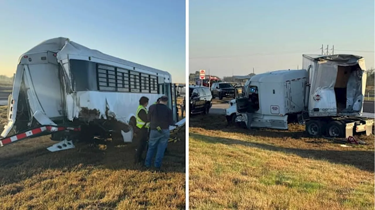 ICE Bus Crash Injures Detainees Near Victoria