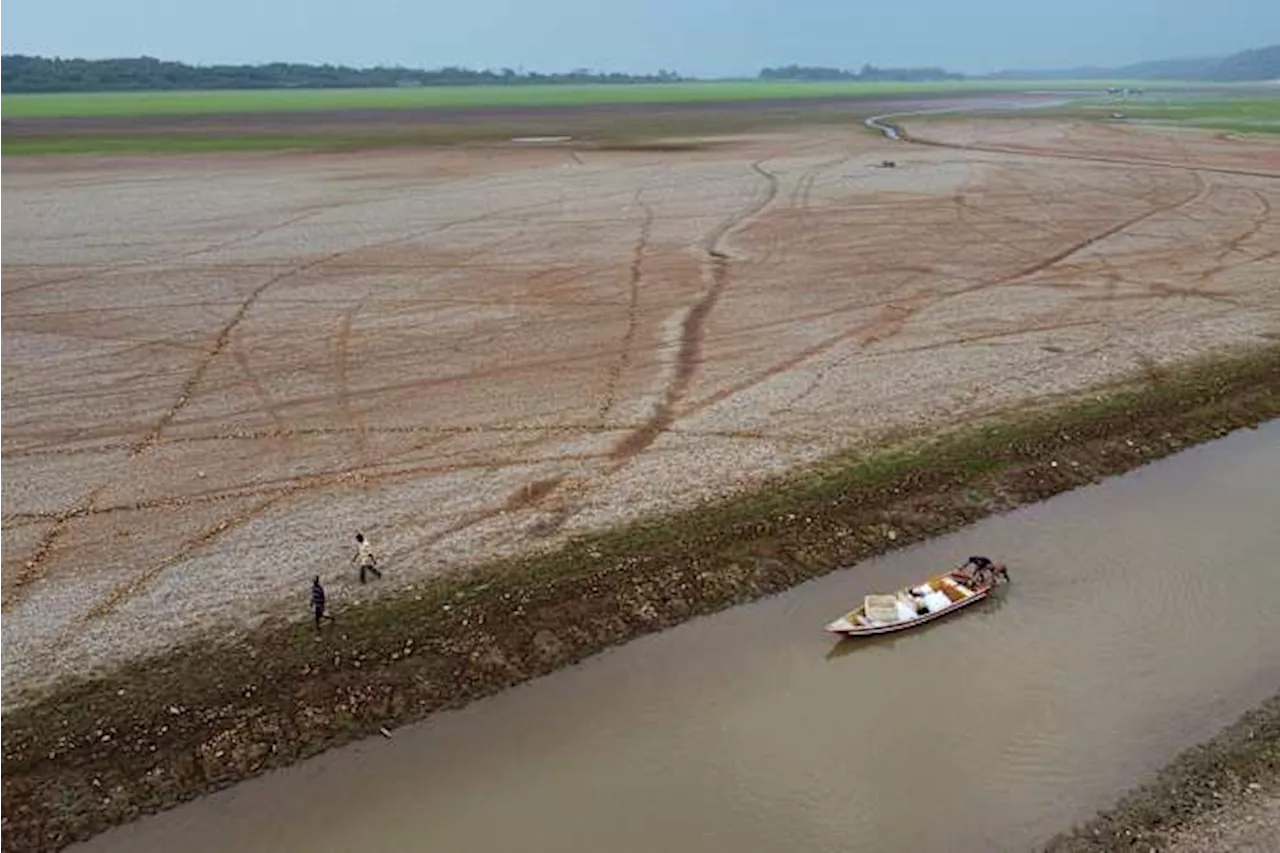 Drought, fires and deforestation battered Amazon rainforest in 2024