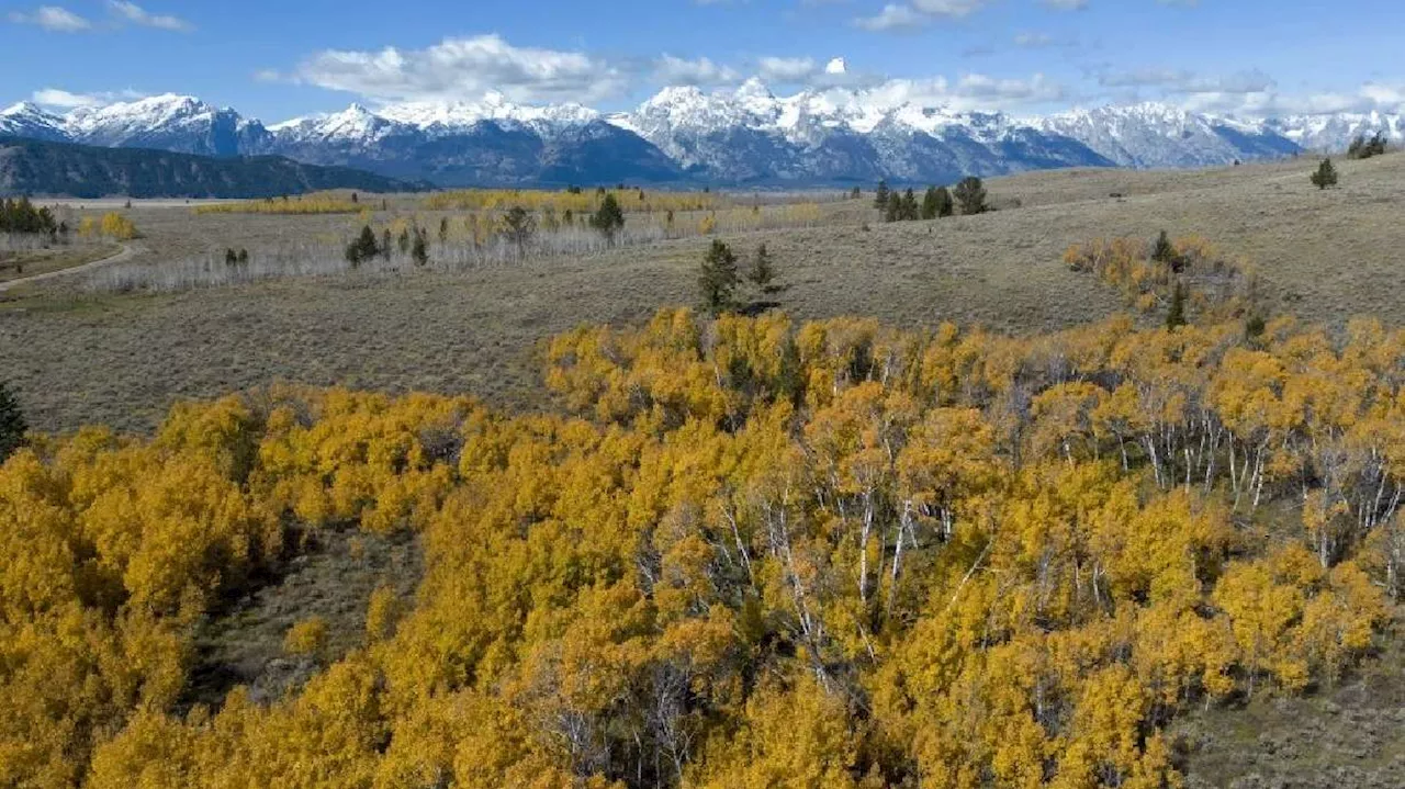 Wyoming Sells Land to Protect Grand Teton National Park