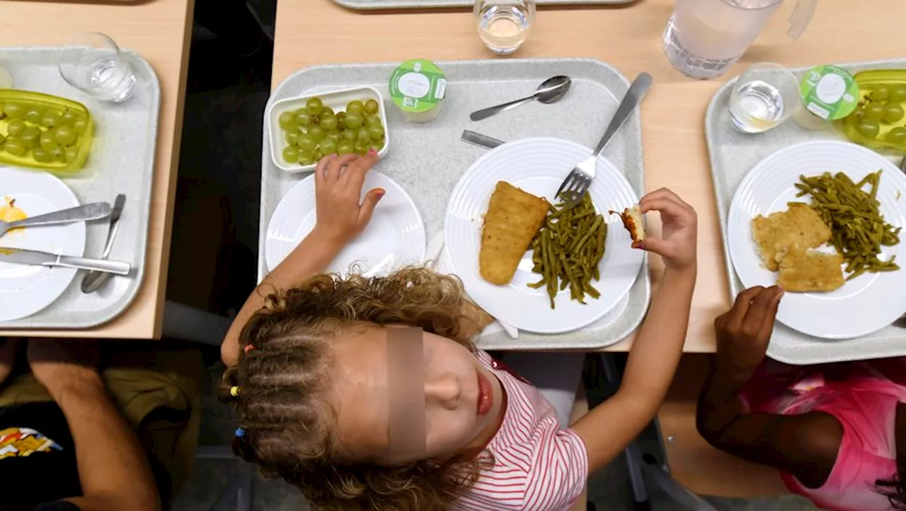 Tournefeuille S'Engage pour une Alimentation Durable avec l'ALTAA