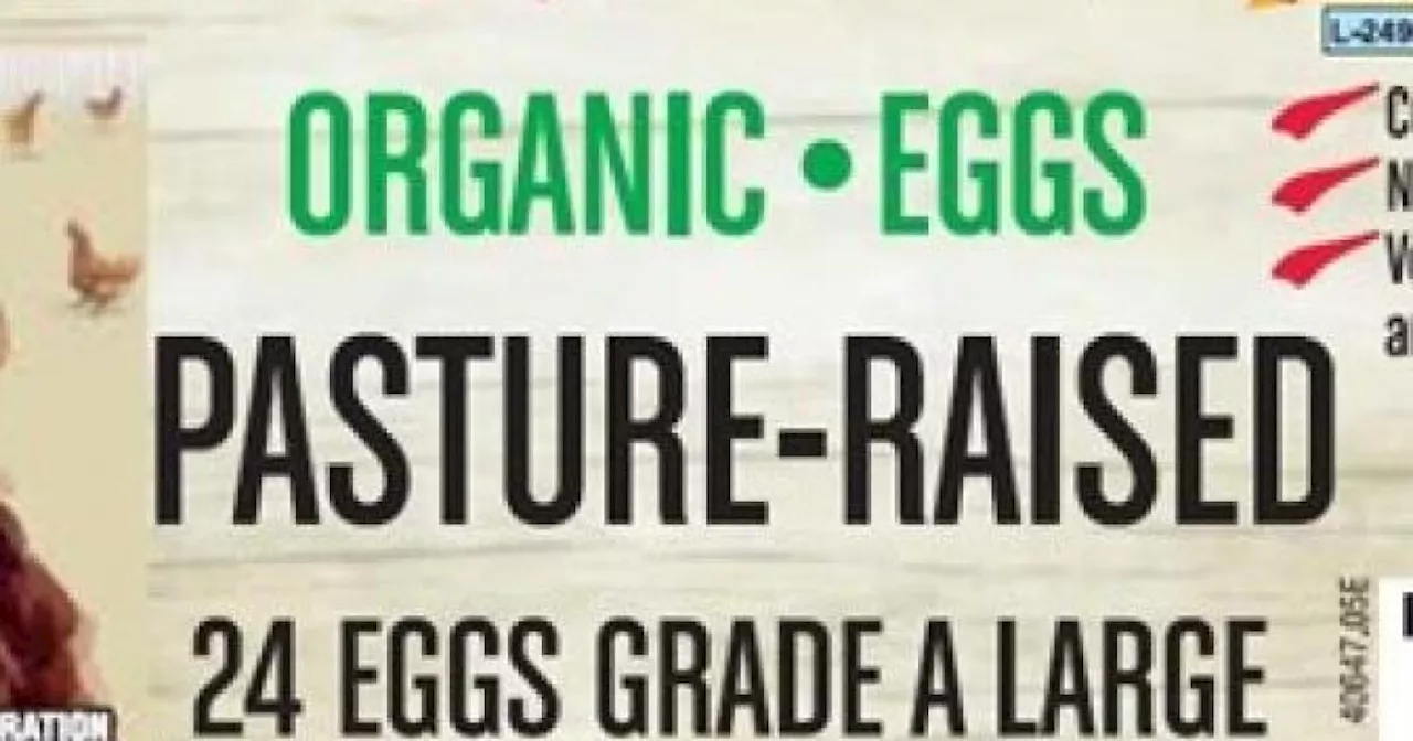 Costco Recalls Kirkland Brand Eggs Due to Potential Health Risk